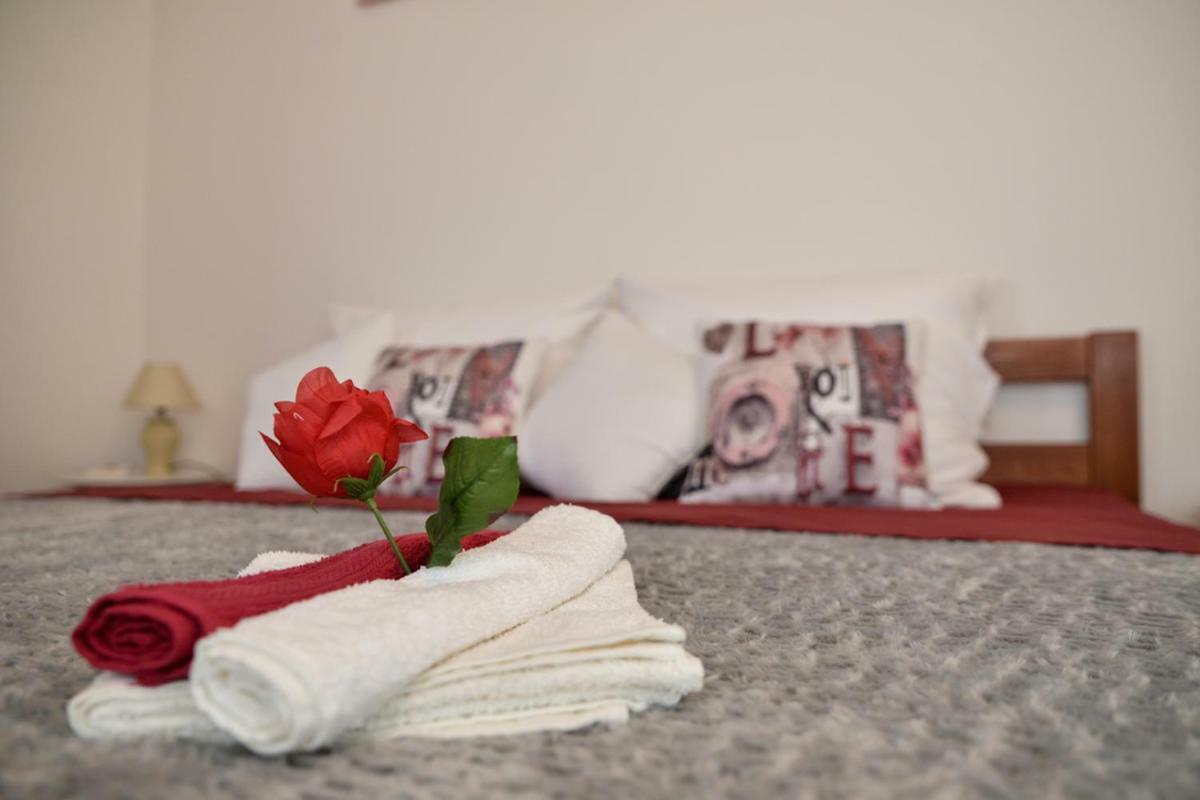 Apartment Antonio Zadar Bagian luar foto